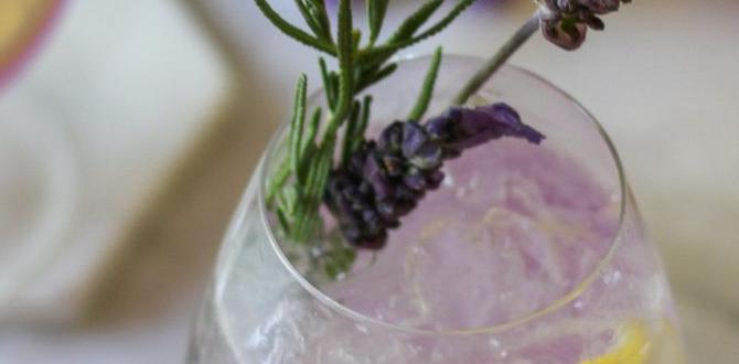functional sparkling herbal drinks with lavender and lemon functional sparkling herbal drinks with lavender and lemon