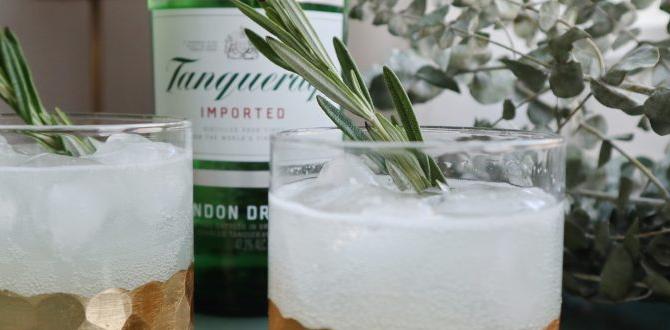 functional sparkling tonics with ginger and lemon functional sparkling tonics with ginger and lemon