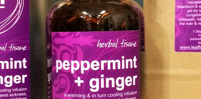 functional teas with peppermint and ginger functional teas with peppermint and ginger