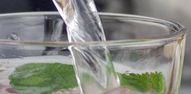 functional vitamin enriched sparkling water with pomegranate and mint functional vitamin enriched sparkling water with pomegranate and mint