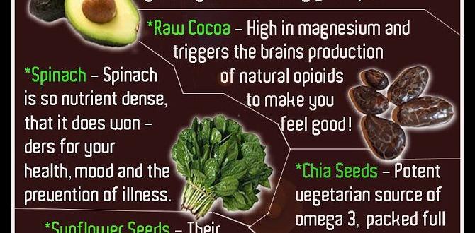 prebiotic foods that improve mood