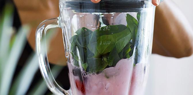 smoothies for stress eating recovery smoothies for stress eating recovery