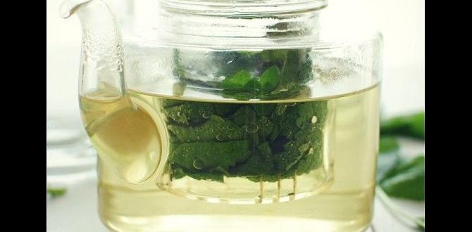 teas with licorice and lemon balm teas with licorice and lemon balm